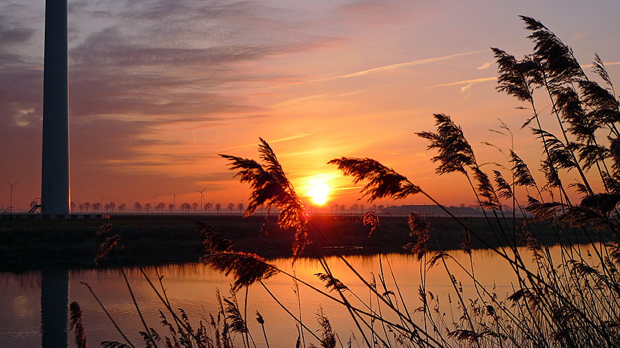 Personeelsuitje Flevoland Zonsondergang Flevomeer