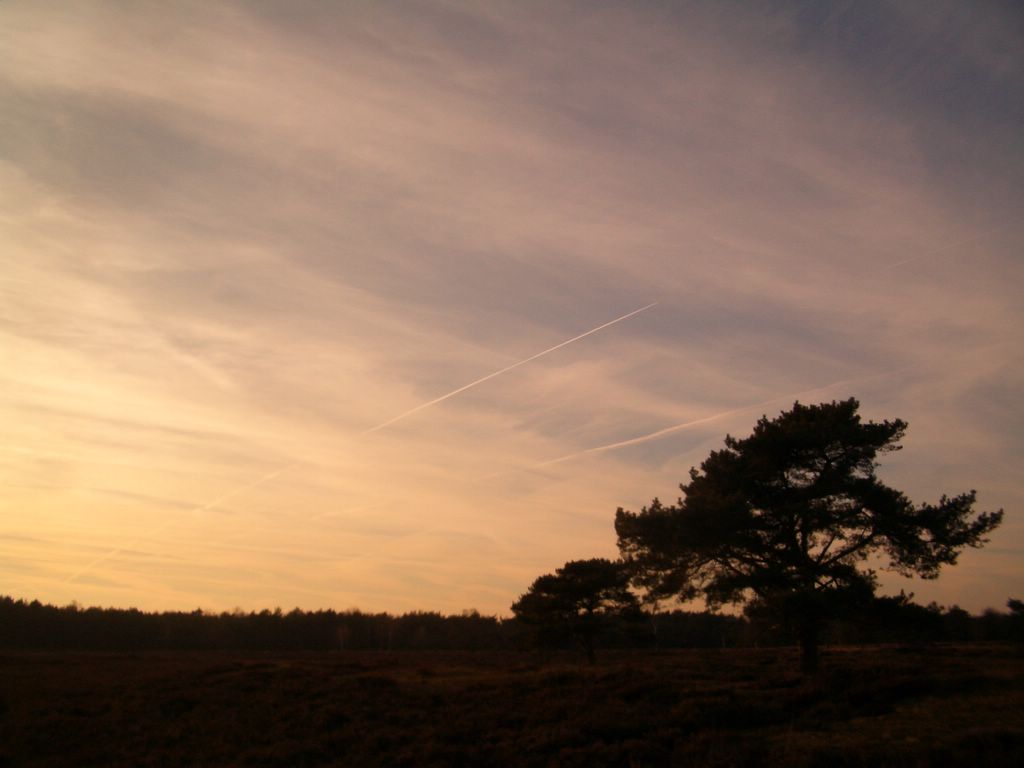 Teambuilding Assen Drenthe Natuur