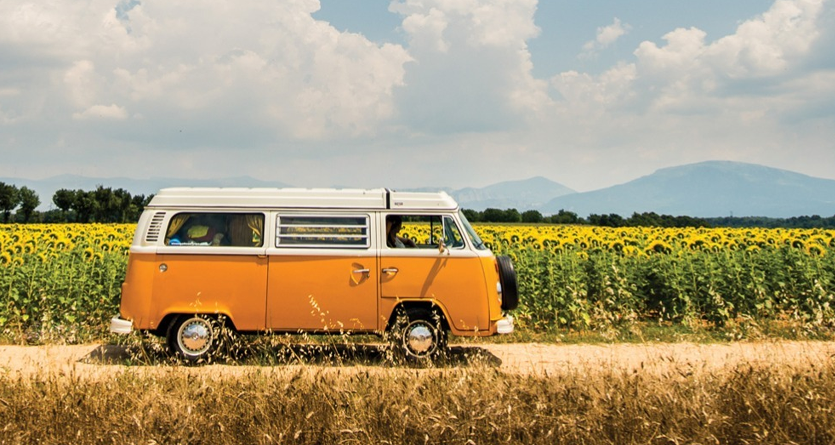 Teamuitje Leiden: Volkswagen Bustour