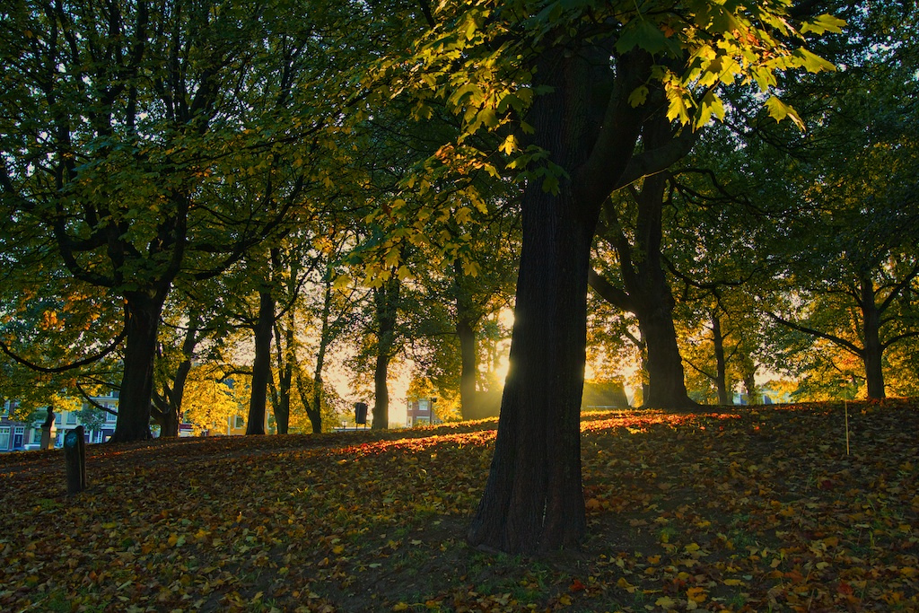 Bedrijfsuitje Leeuwarden Groen Park