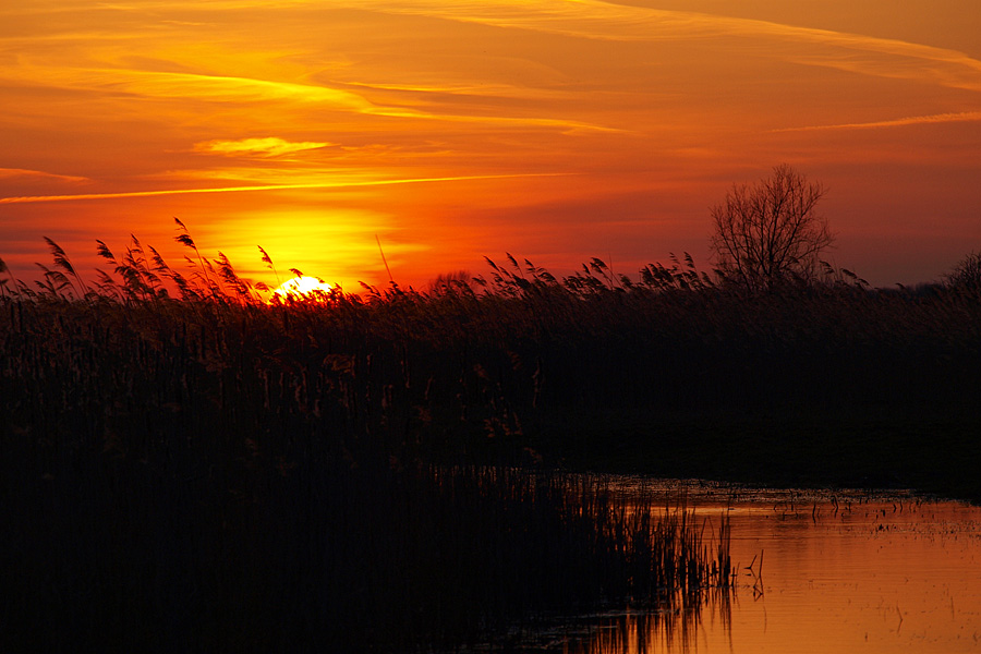 Bedrijfsuitje Lelystad Zonsondergang Oostvaardersplassen natuurgebied