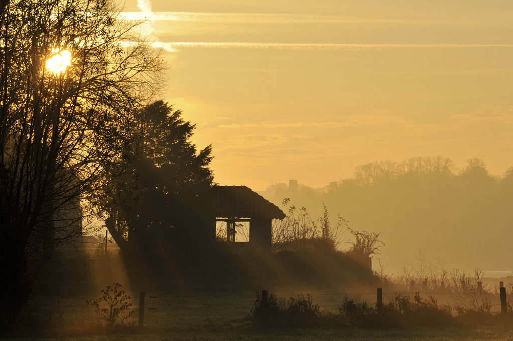 Teambuilding Nijmegen Lenter Eiland Morgenstond Zonsopgang