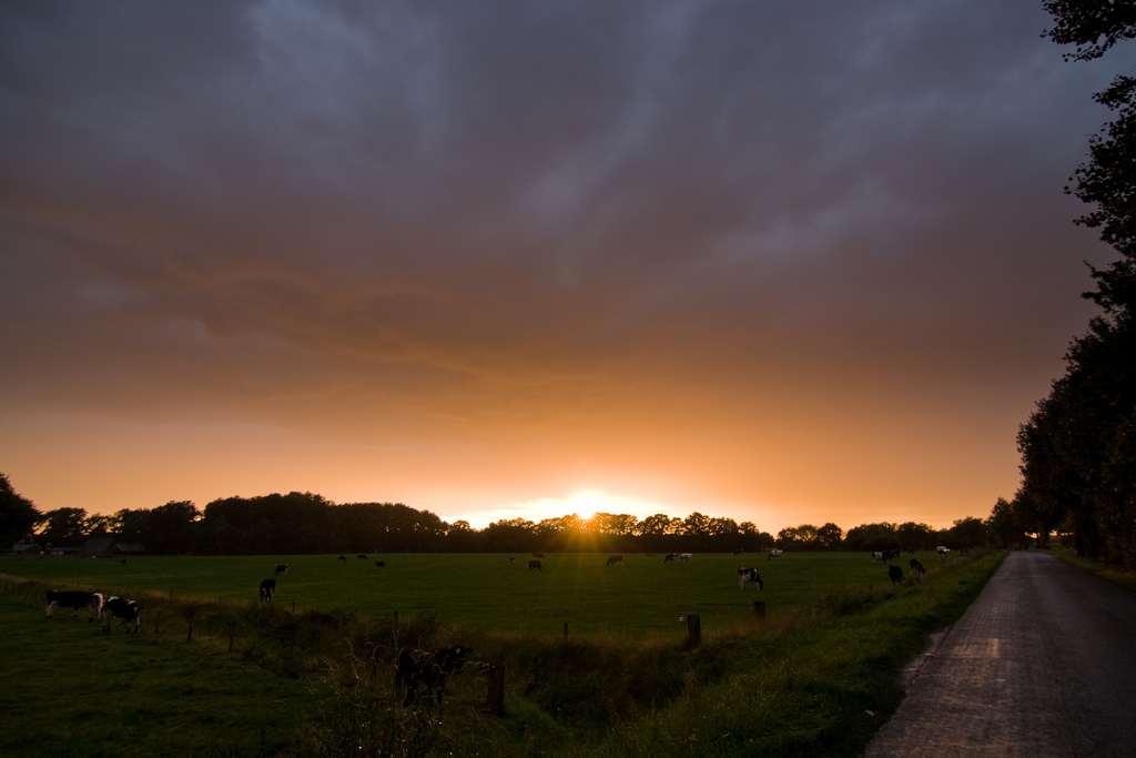 Enschede Teambuilding Lonneker Zonsopgang Zonsondergang