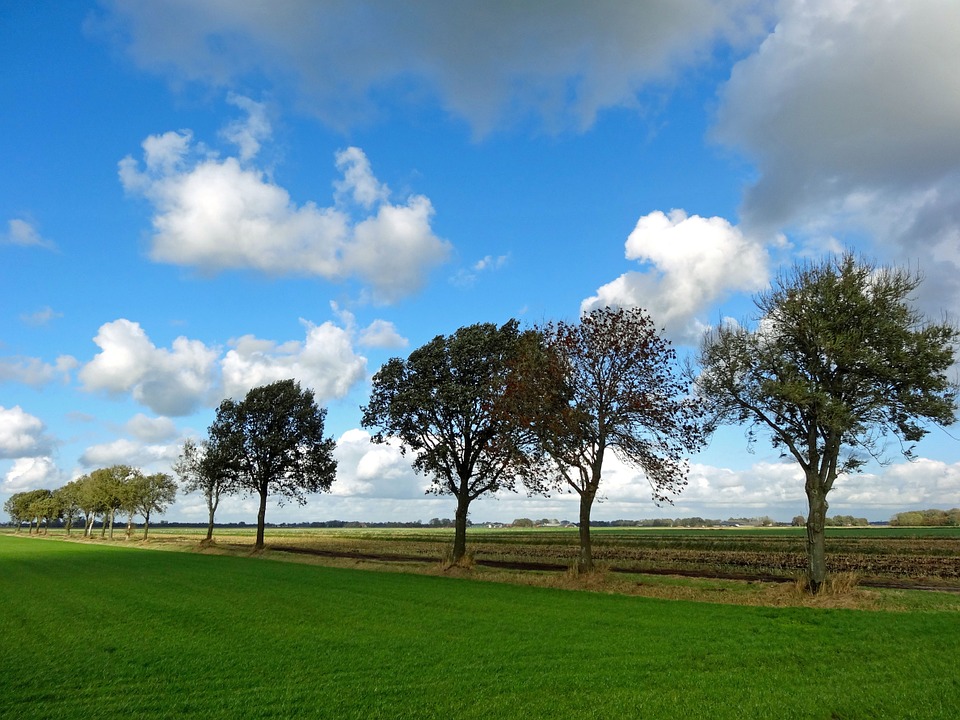 Lelystad Teambuilding Natuur Groen