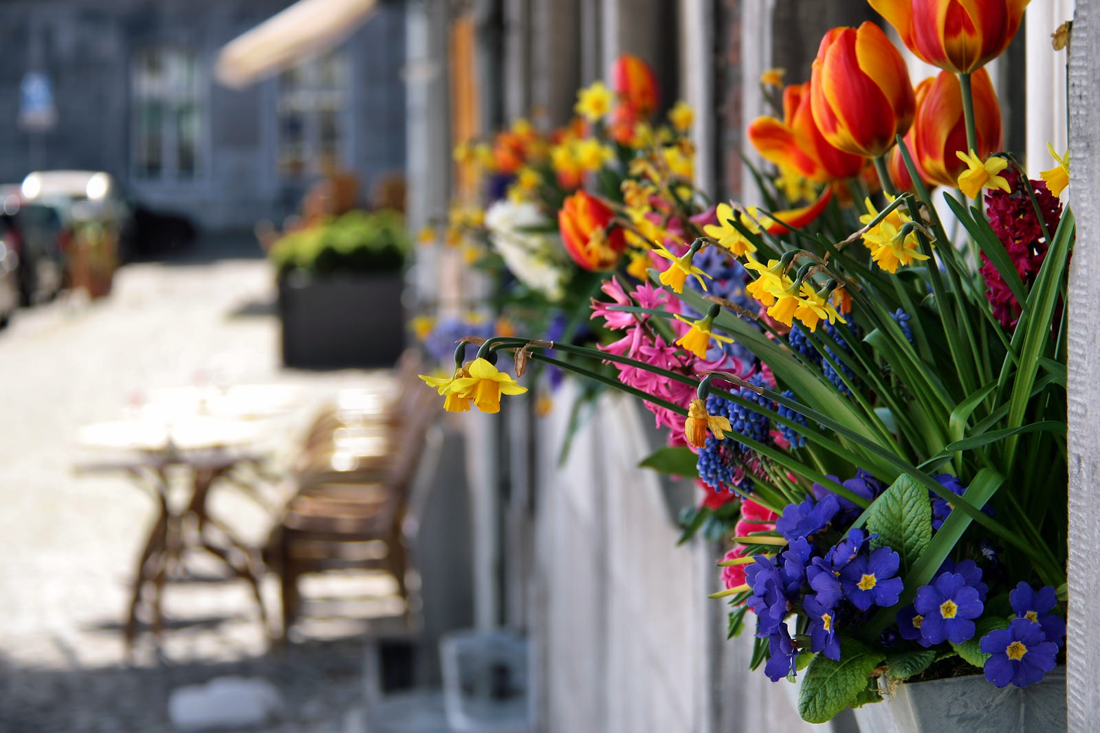 Maastricht Teambuilding Terras Bloemen