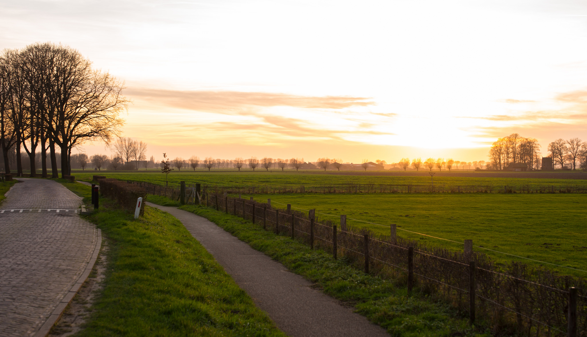 Teambuilding Gelderland Natuur