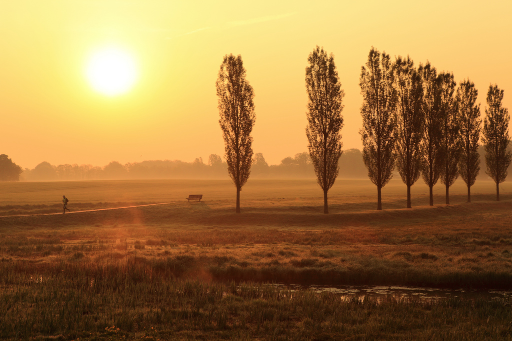 Teambuilding Overijssel Natuur Zonopgang